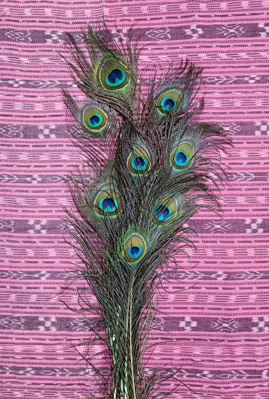 Natural Peacock Feather | Mayur Pankh | Pack 5 | 24 Inch